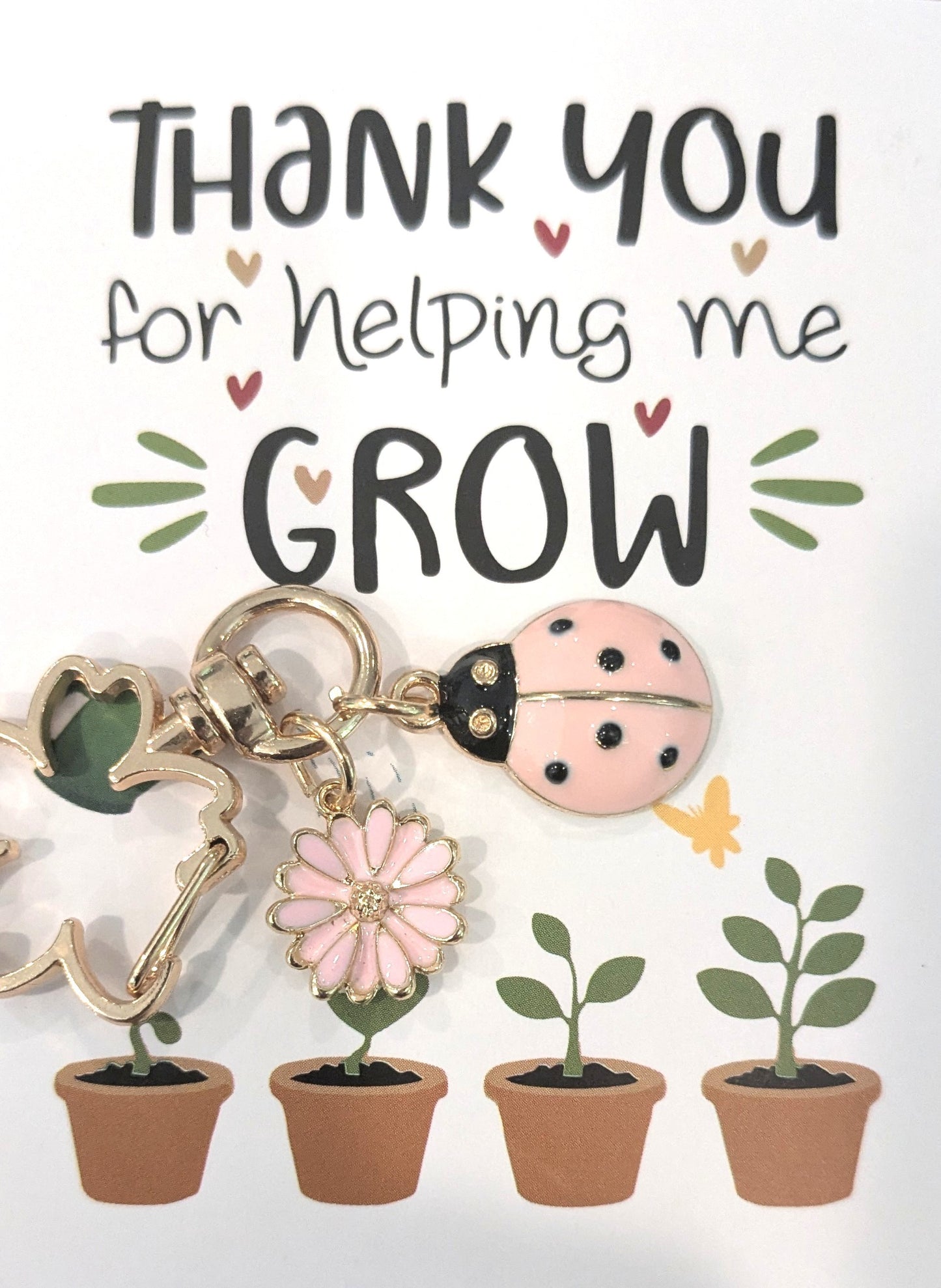 Pink Ladybug Thank you Charm